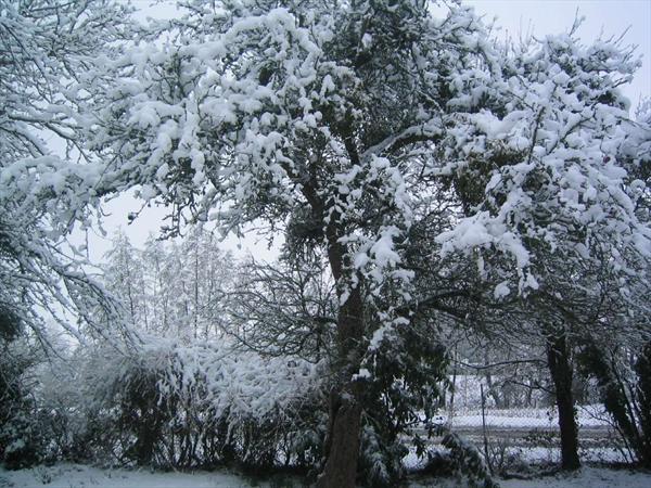  Photo: IMG_3629.JPG