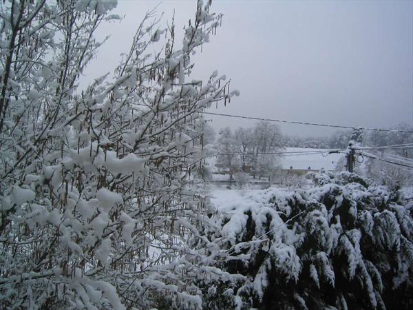  Photo: IMG_3630.JPG