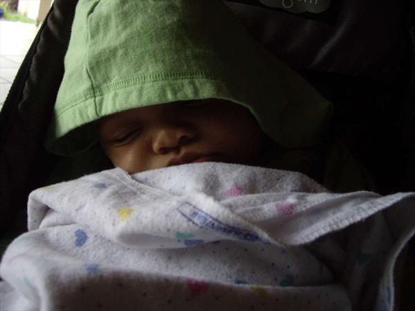  Photo: IMGP2690.JPG