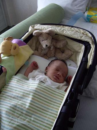  Photo: IMGP1747.JPG