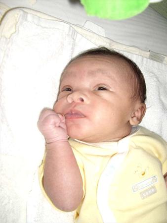  Photo: IMGP1788.JPG