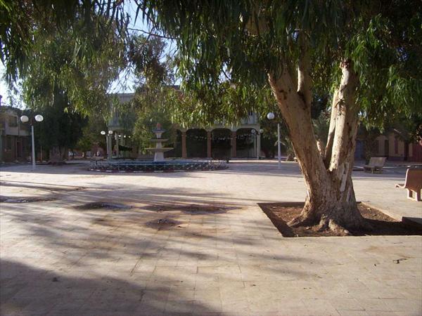  Photo: Photo 006.jpg