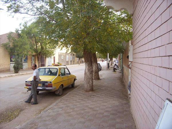  Photo: Photo 007.jpg