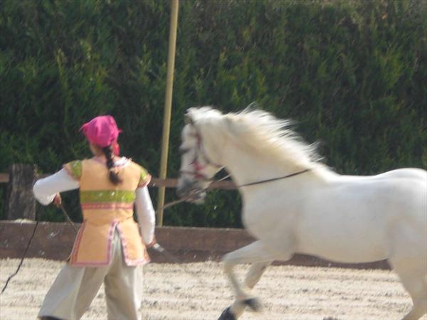  Photo: CIMG0313.JPG