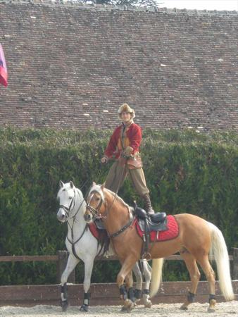  Photo: CIMG0326.JPG