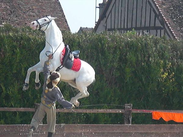  Photo: sortie provins 002.jpg