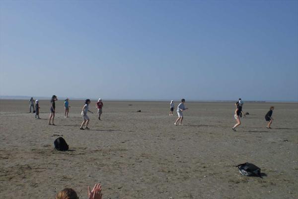  Photo: CIMG0729.JPG