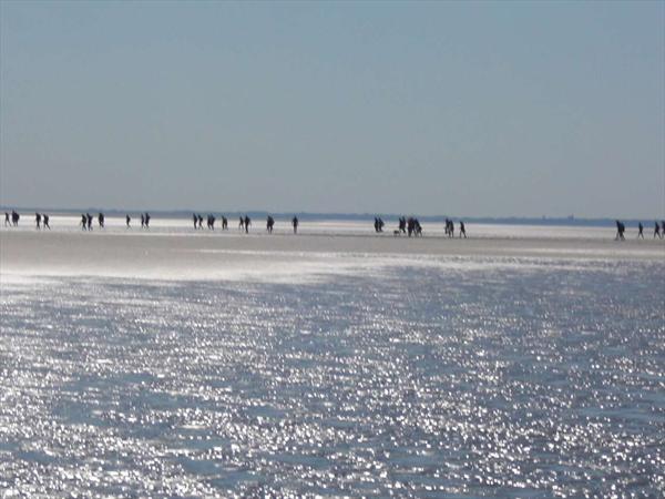  Photo: CIMG1387.JPG