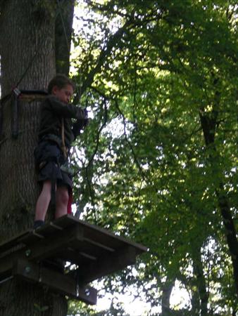  Photo: CIMG1457.JPG