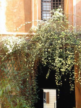  Photo: CIMG0209.JPG