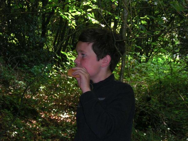  Photo: CIMG1481.JPG