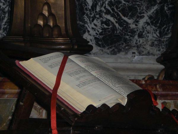  Photo: CIMG0277.JPG