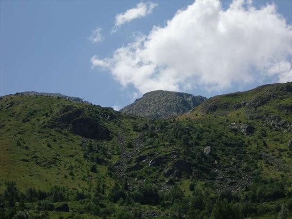  Photo: CIMG0491.JPG