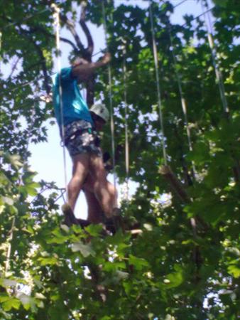  Photo: 29072009135.jpg