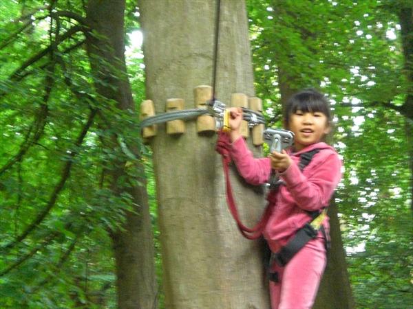  Photo: CIMG1340.JPG
