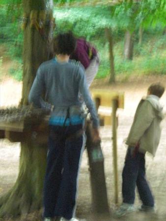  Photo: CIMG1341.JPG